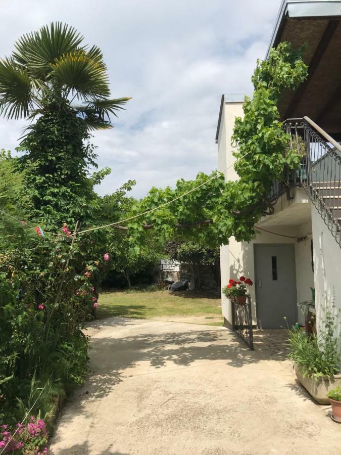 Apartmán Jonas Rovinj